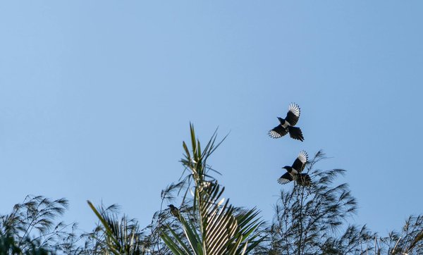 Comment les seniors peuvent-ils utiliser les exercices de Kegel pour améliorer leur santé?